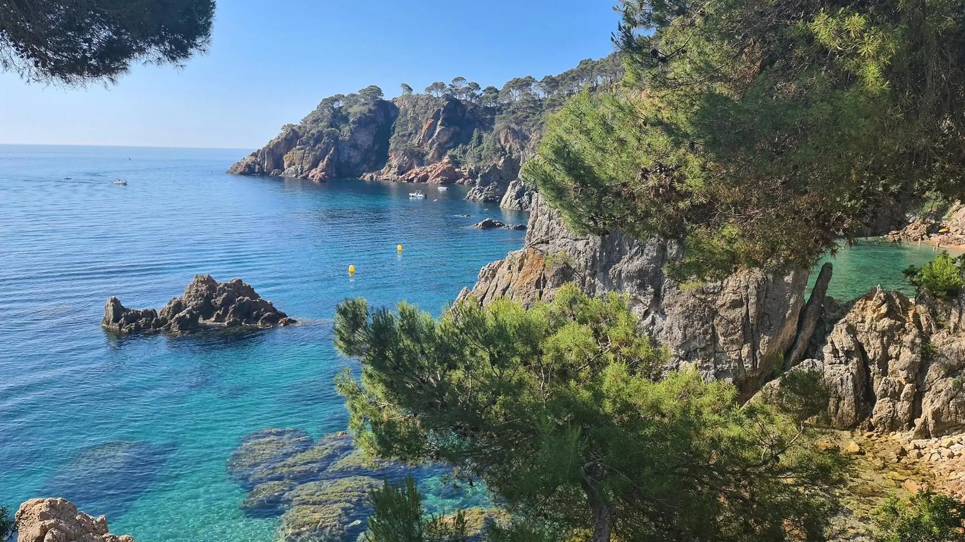 Apartment, Short Walk To The Beach Calella De Palafrugell 0*,