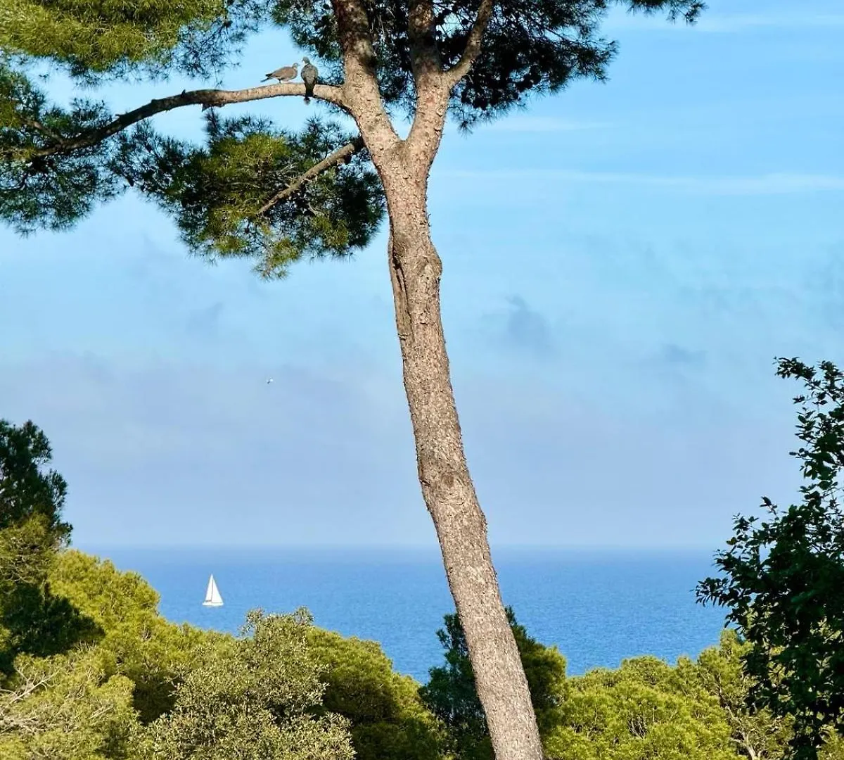 Apartment, Short Walk To The Beach location
