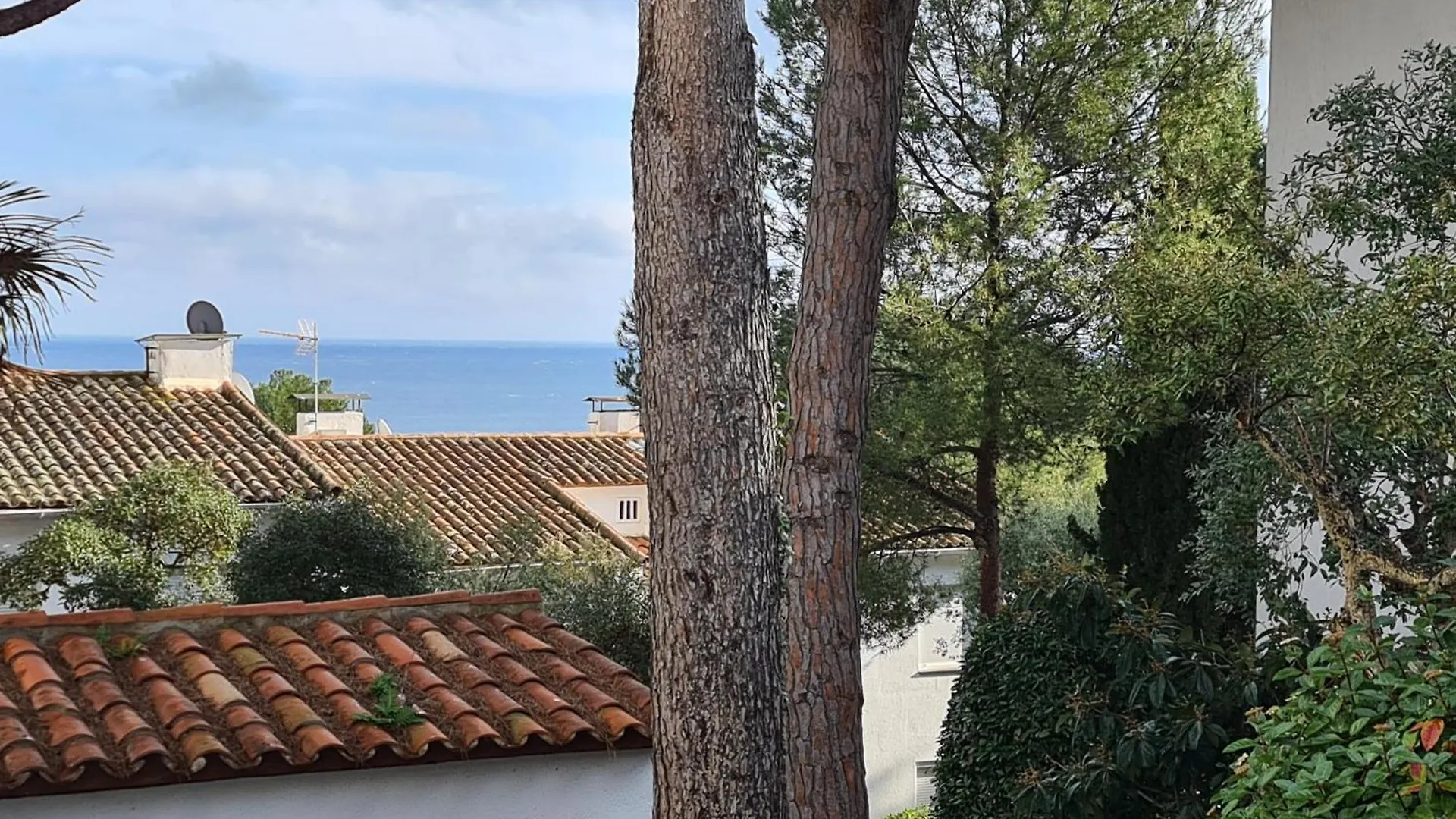 Apartment, Short Walk To The Beach Calella De Palafrugell 0*,  Spain