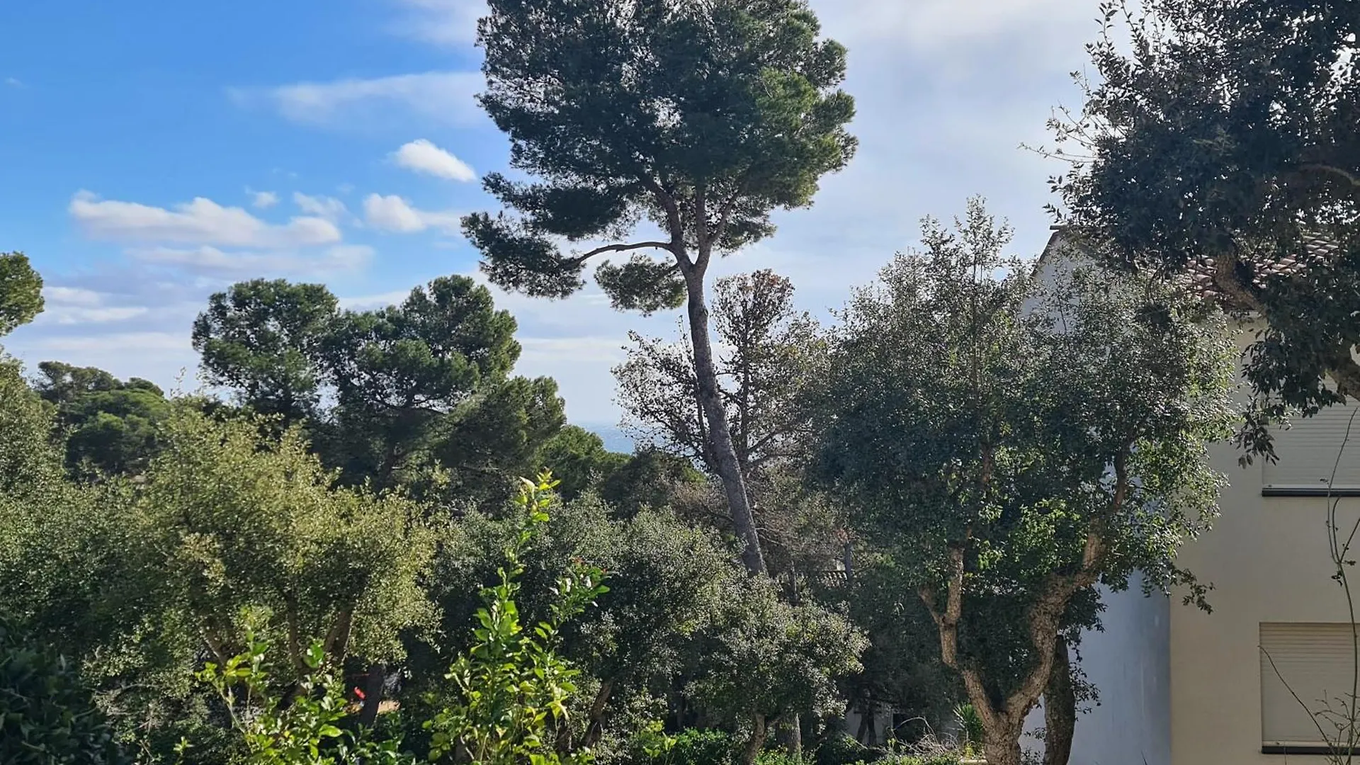 Apartment, Short Walk To The Beach Calella De Palafrugell Apartment