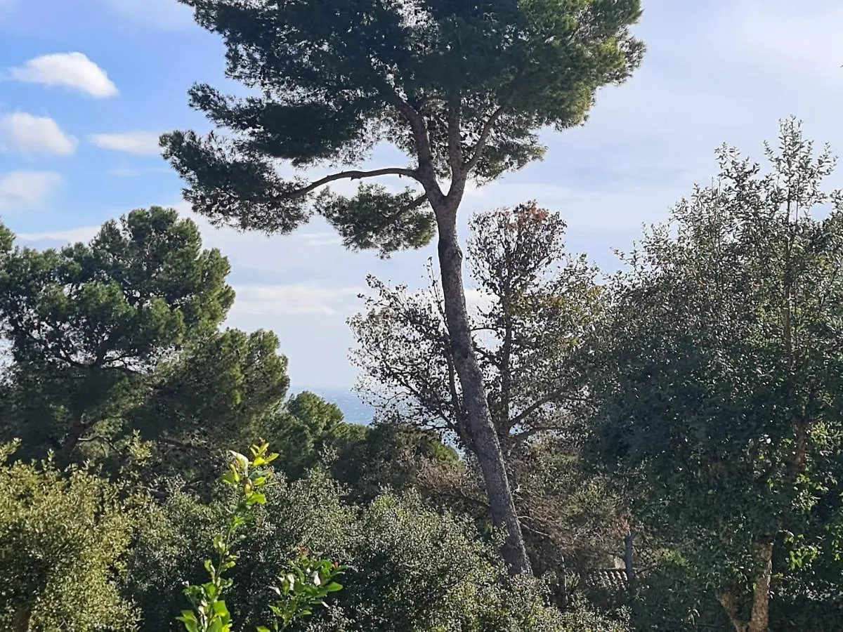 Apartment, Short Walk To The Beach Calella De Palafrugell